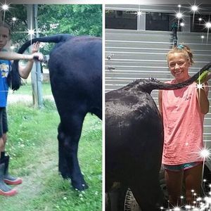 Meet your Posher, Sydney